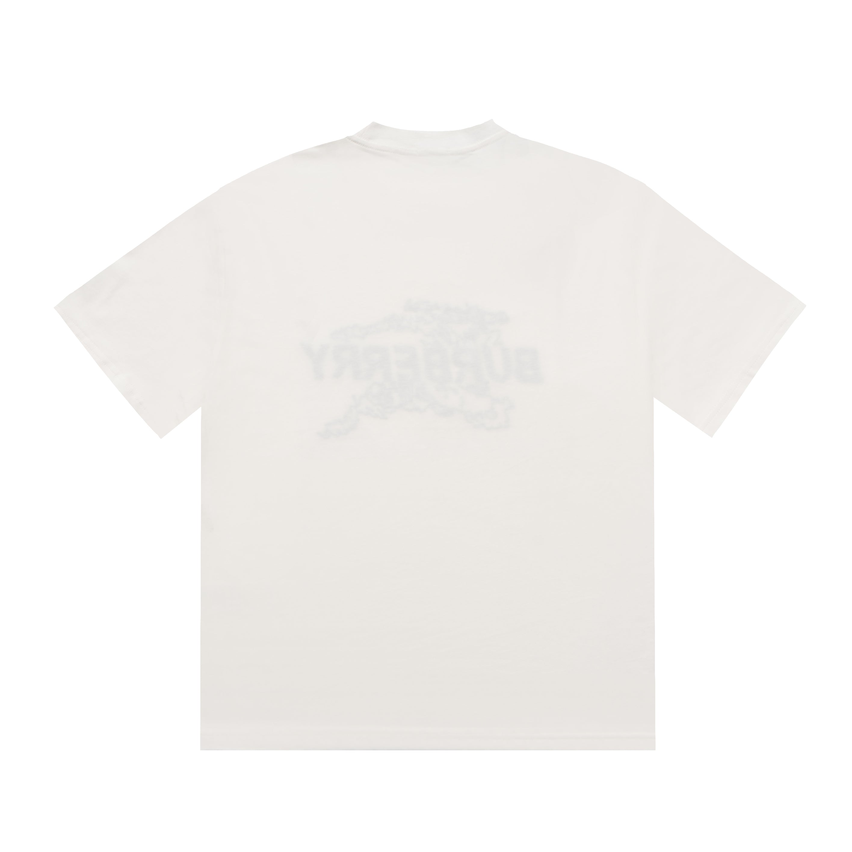 Printed T-Shirt: High-End Fashion Statement-1184