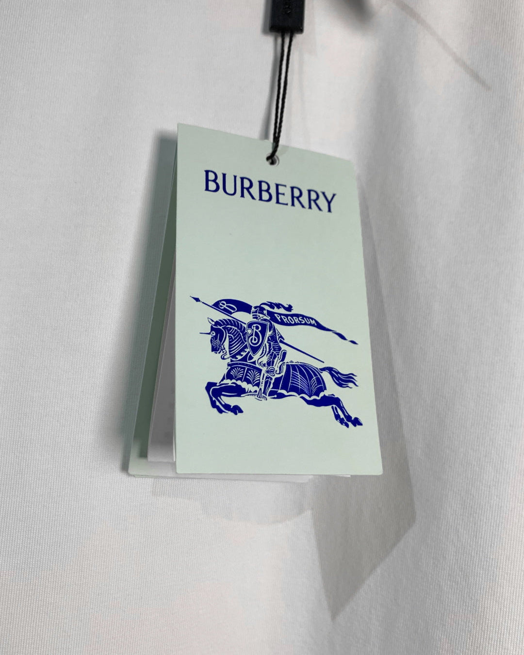 Embroidered cotton print T-shirt