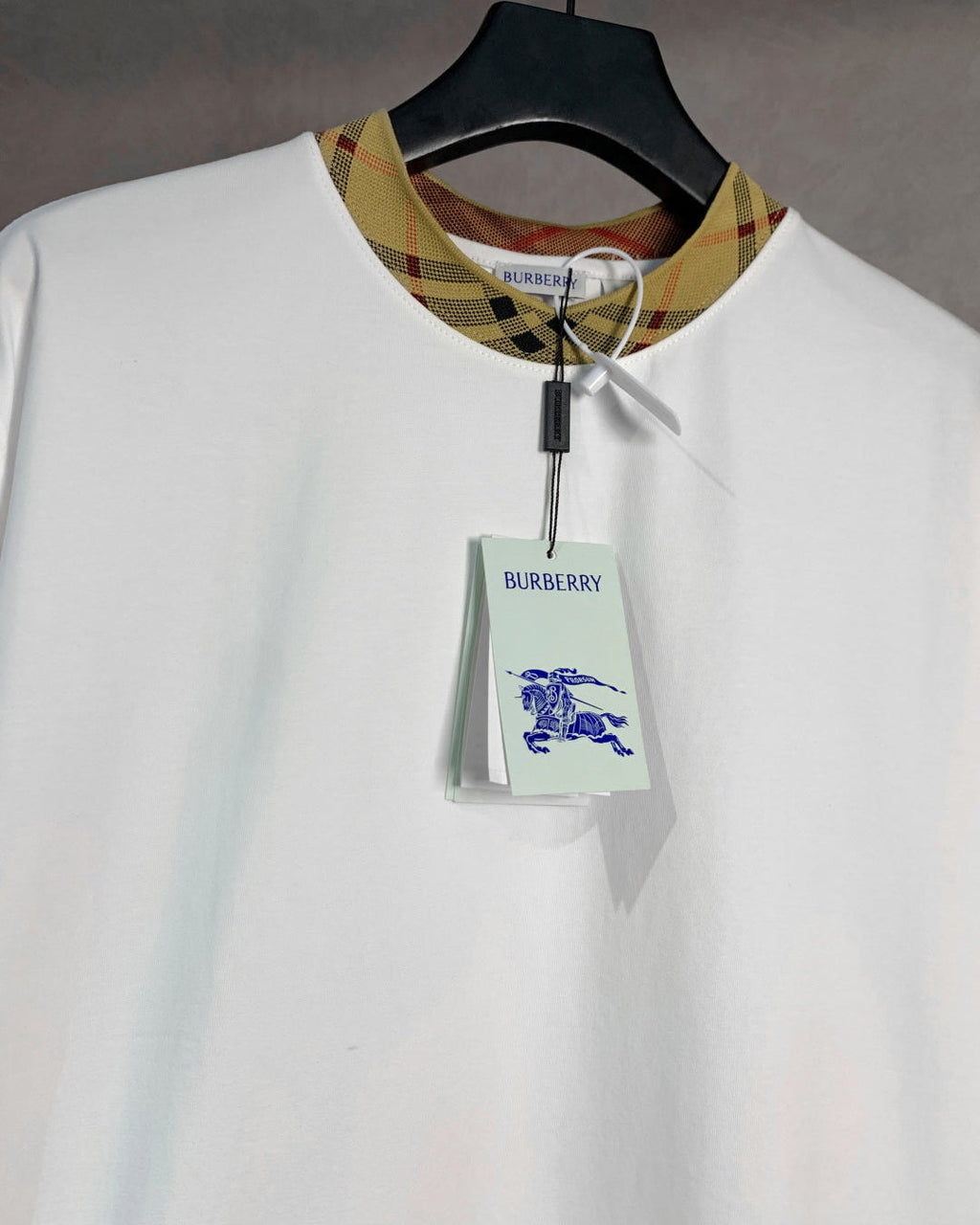 Embroidered cotton print T-shirt