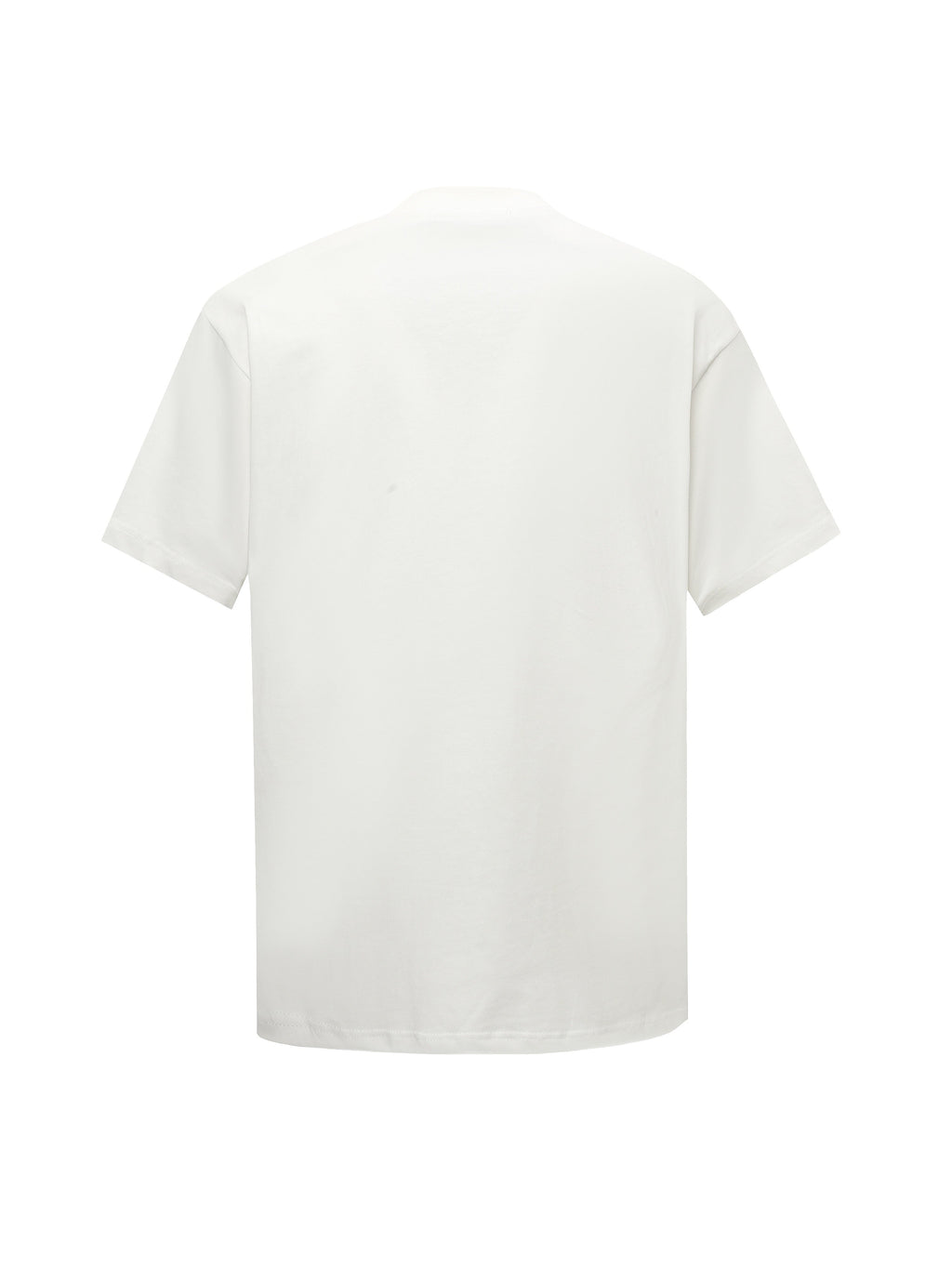 Printed crew neck cotton T-shirt