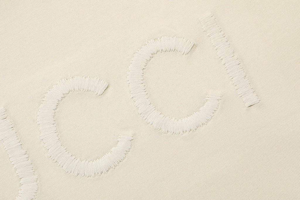 Embroidered crew neck cotton T-shirt